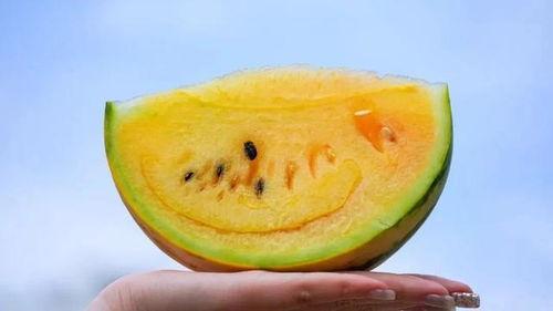 吃瓜云南网红,探寻瓜界新势力